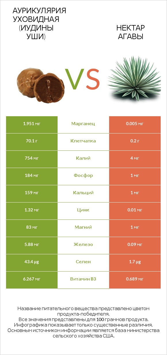 Аурикулярия уховидная (Иудины уши) vs Нектар агавы infographic