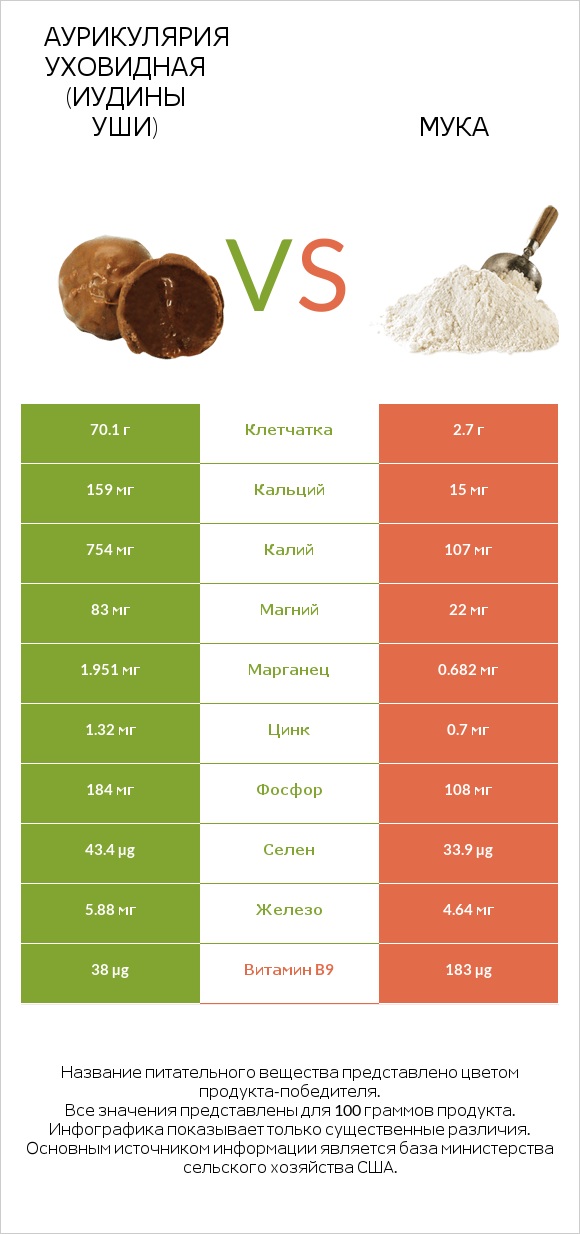 Аурикулярия уховидная (Иудины уши) vs Мука infographic