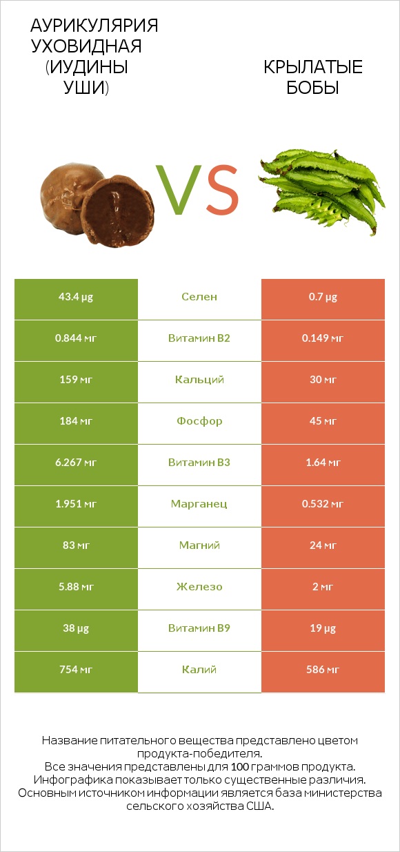 Аурикулярия уховидная (Иудины уши) vs Крылатые бобы infographic