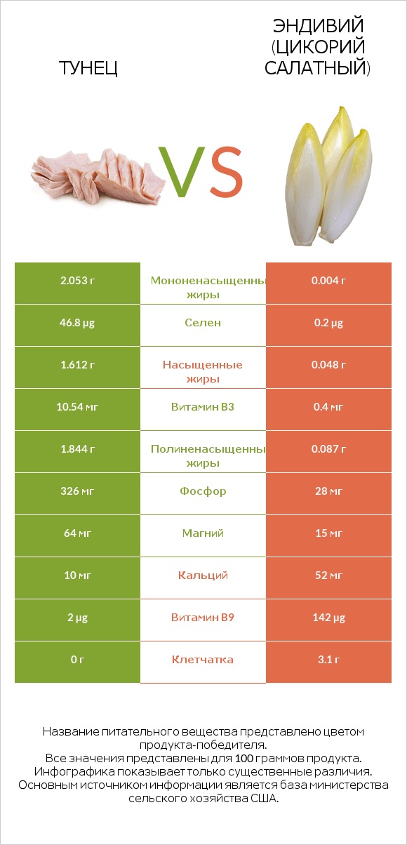 Тунец vs Эндивий (Цикорий салатный)  infographic