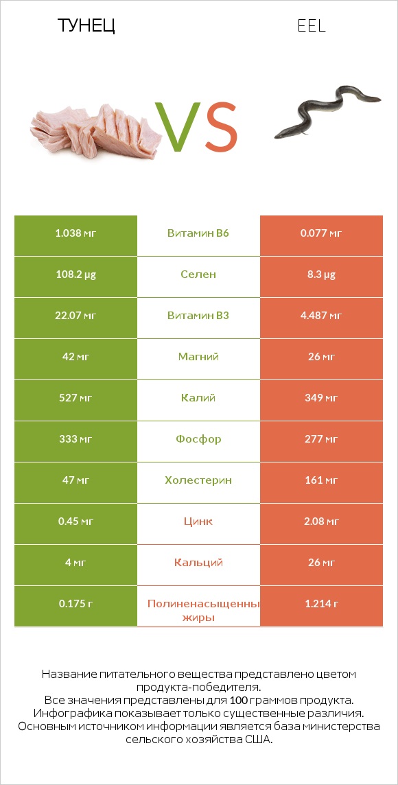 Тунец vs Eel infographic