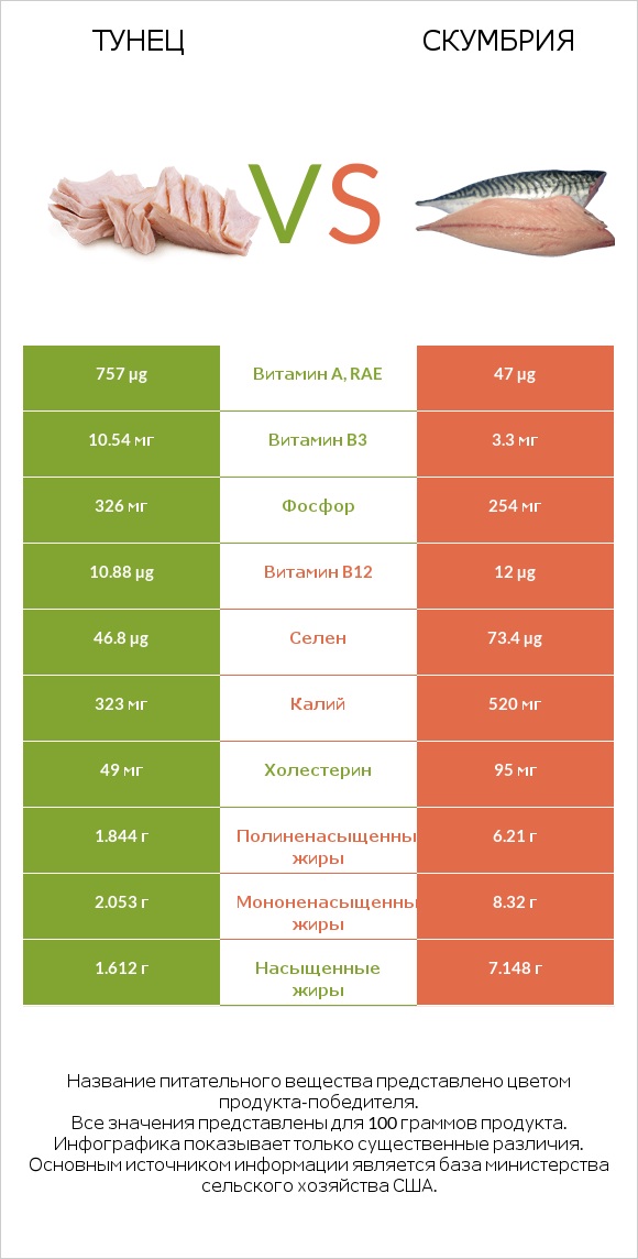 Тунец vs Скумбрия infographic