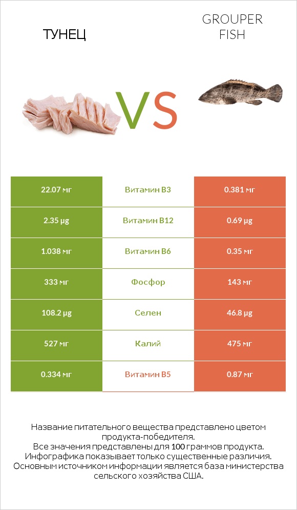 Тунец vs Grouper fish infographic