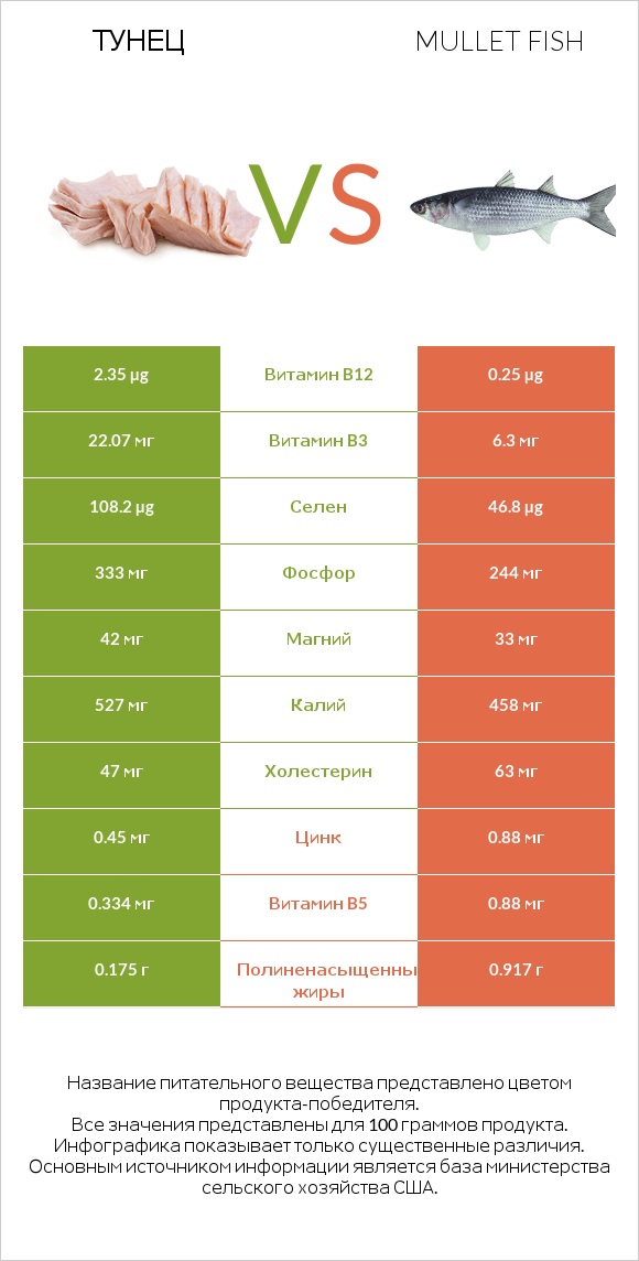 Тунец vs Mullet fish infographic