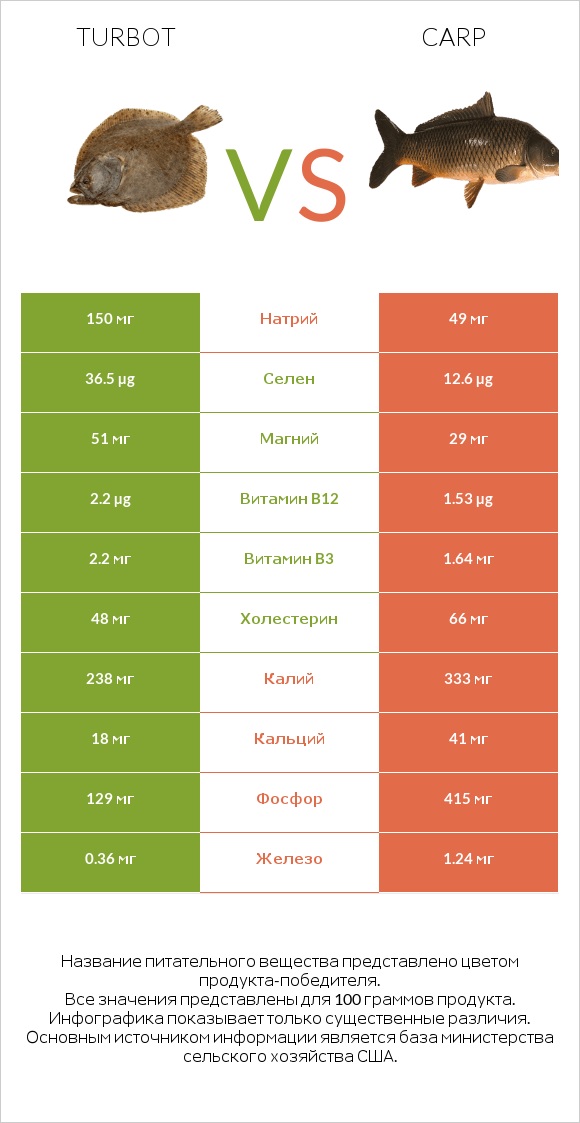 Turbot vs Carp infographic