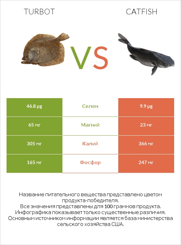 Turbot vs Catfish infographic