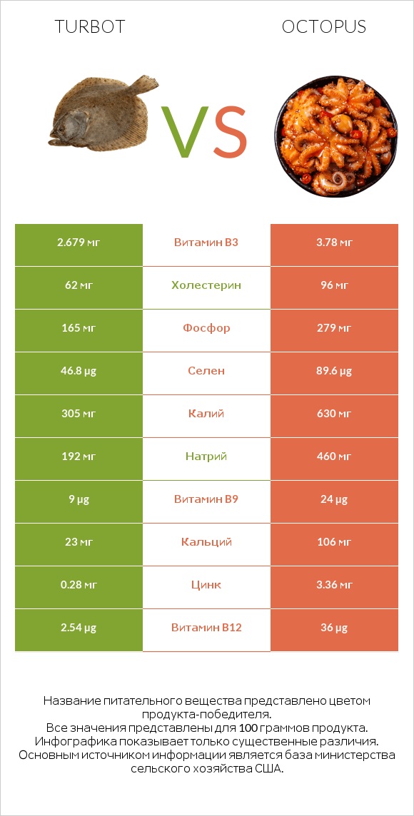 Turbot vs Octopus infographic