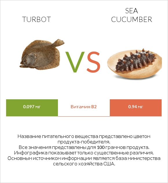 Turbot vs Sea cucumber infographic