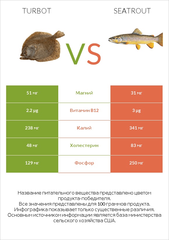 Turbot vs Seatrout infographic