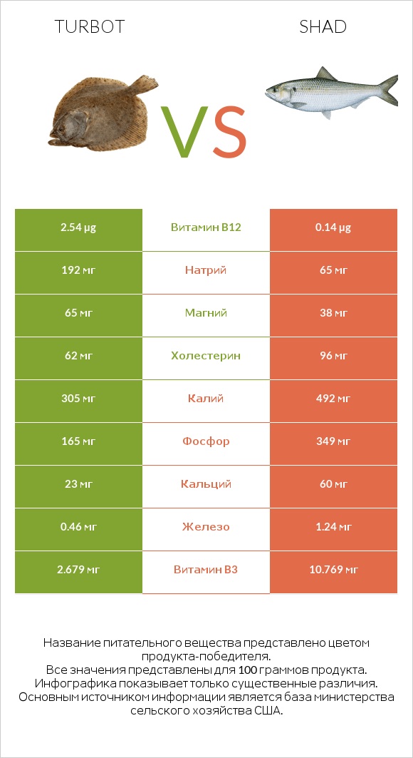 Turbot vs Shad infographic