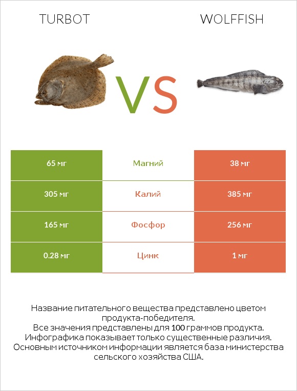 Turbot vs Wolffish infographic