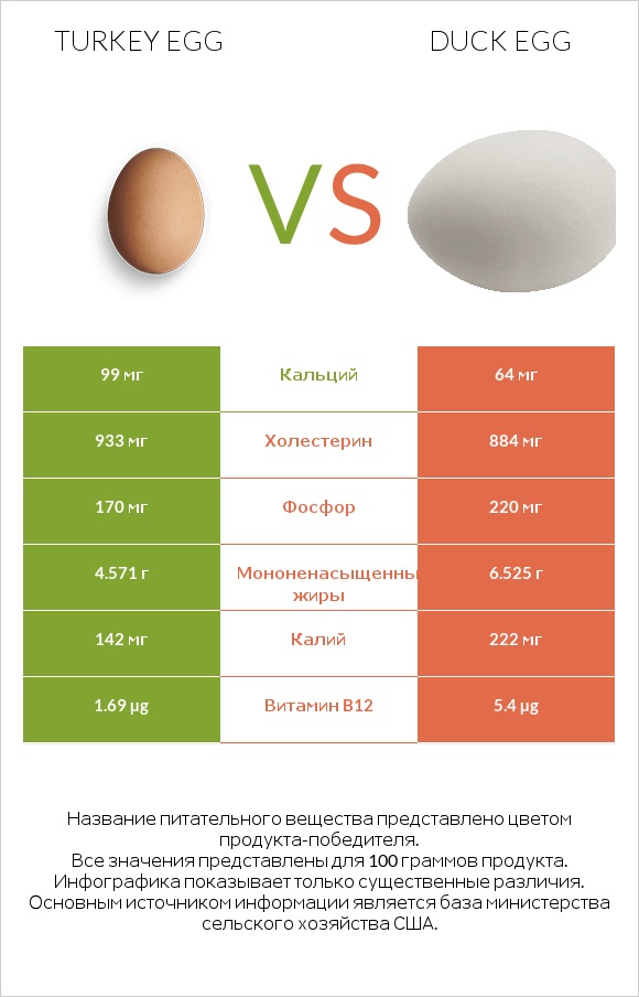 Turkey egg vs Duck egg infographic
