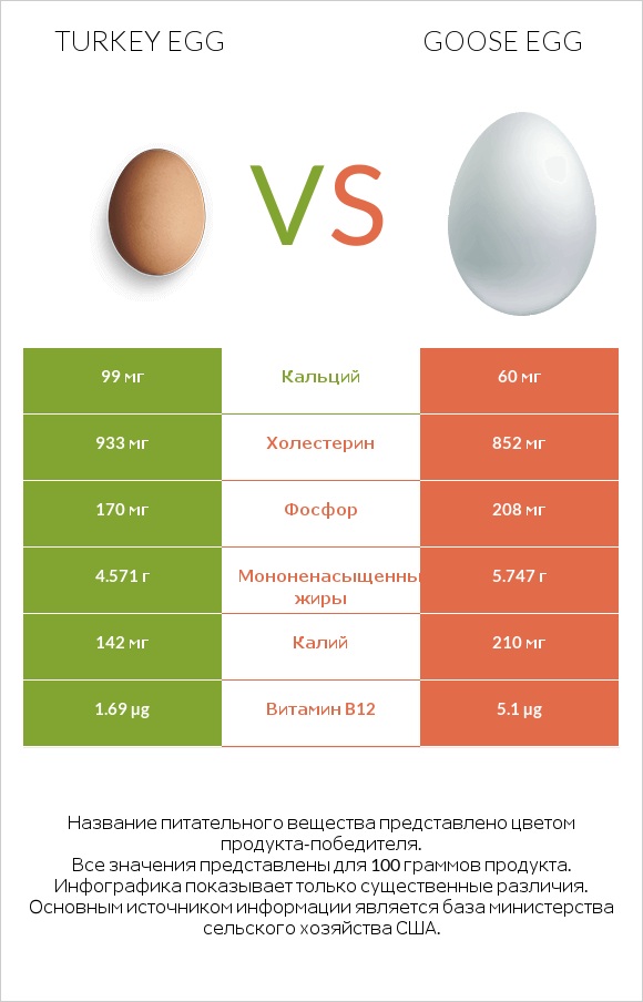 Turkey egg vs Goose egg infographic