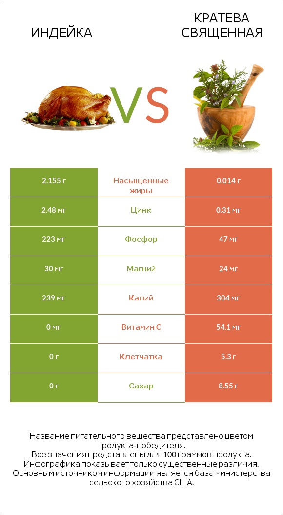 Индейка vs Кратева священная infographic