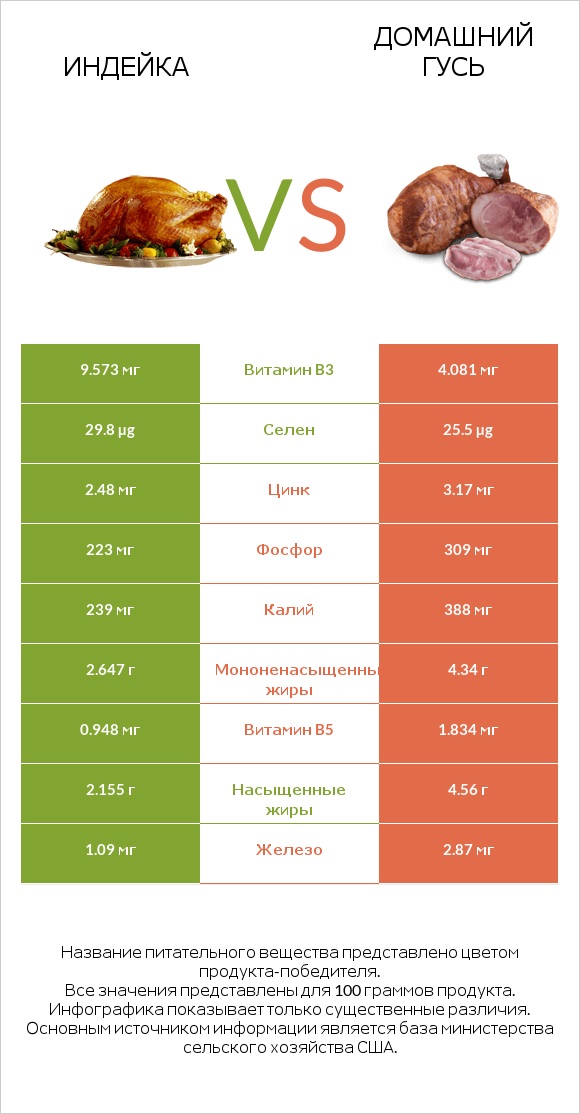 Индейка vs Домашний гусь infographic