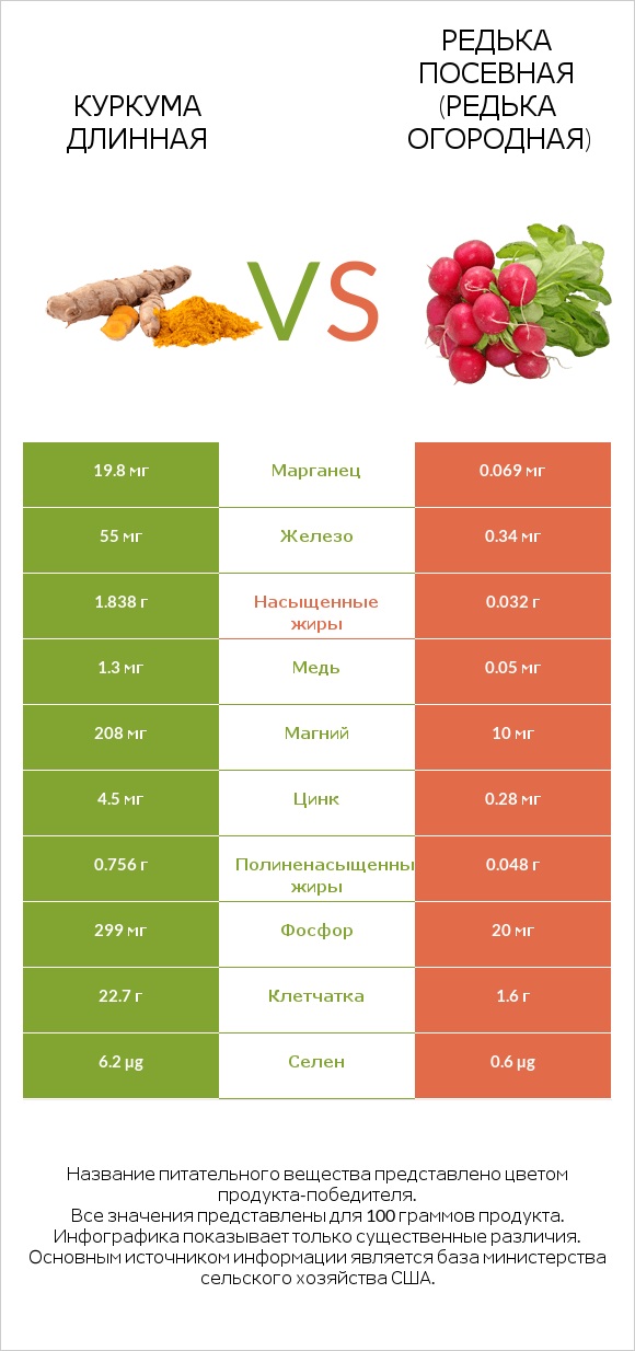 Куркума длинная vs Редька посевная (Редька огородная) infographic