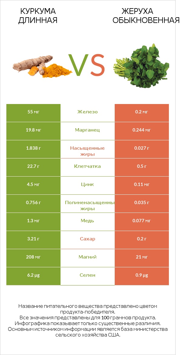 Куркума длинная vs Жеруха обыкновенная infographic