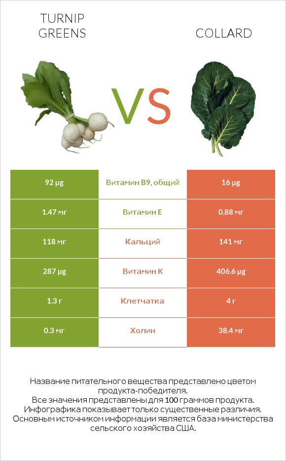 Turnip greens vs Collard infographic
