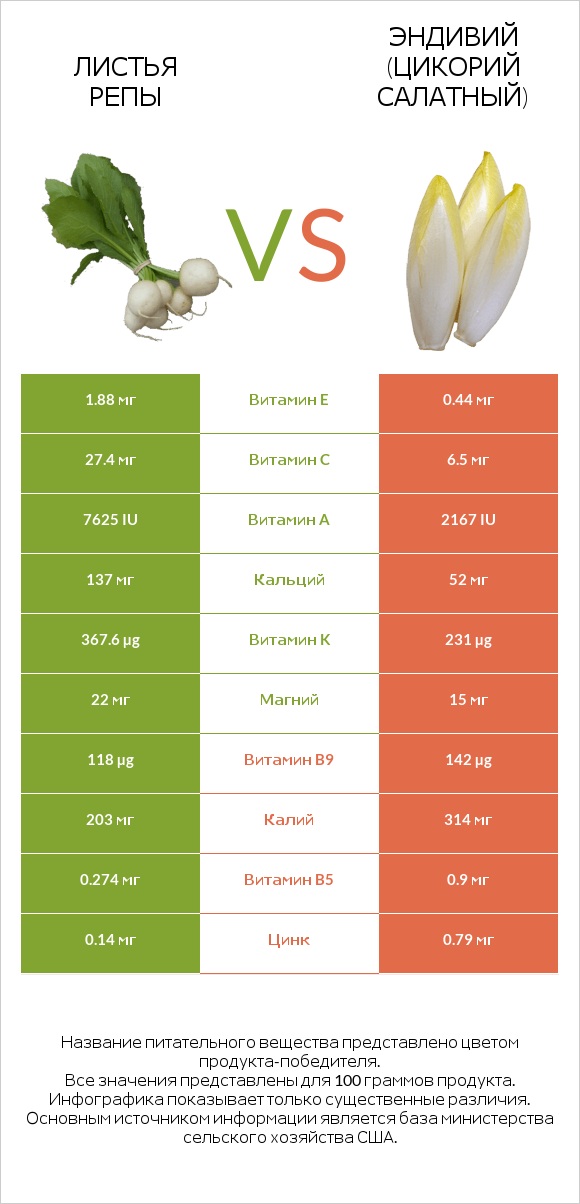 Turnip greens vs Эндивий infographic