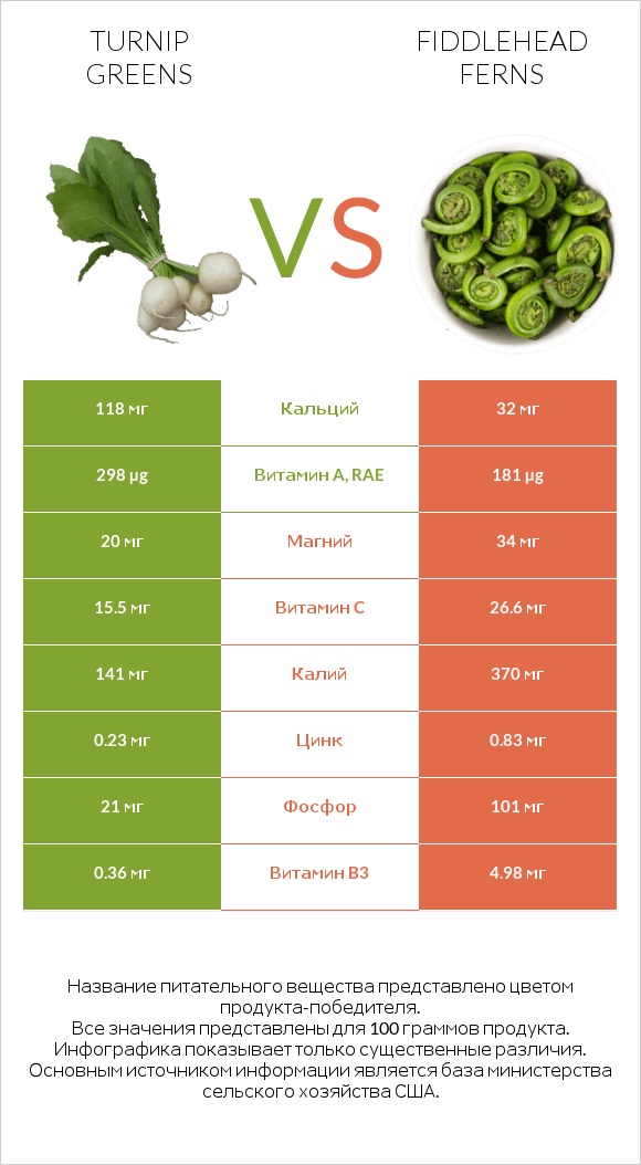 Turnip greens vs Fiddlehead ferns infographic