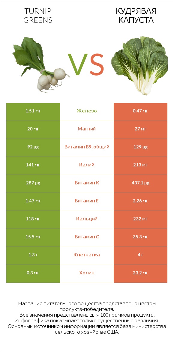 Листья репы vs Кудрявая капуста infographic