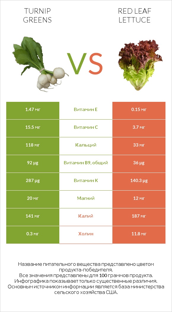 Turnip greens vs Red leaf lettuce infographic