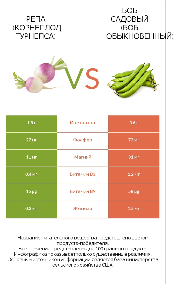 Репа (корнеплод турнепса) vs Боб садовый (Боб обыкновенный) infographic