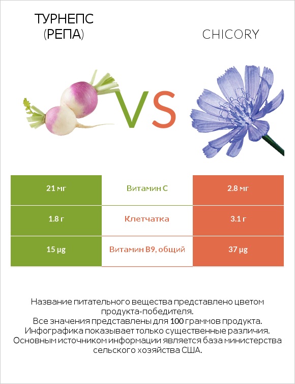 Турнепс (репа) vs Chicory infographic