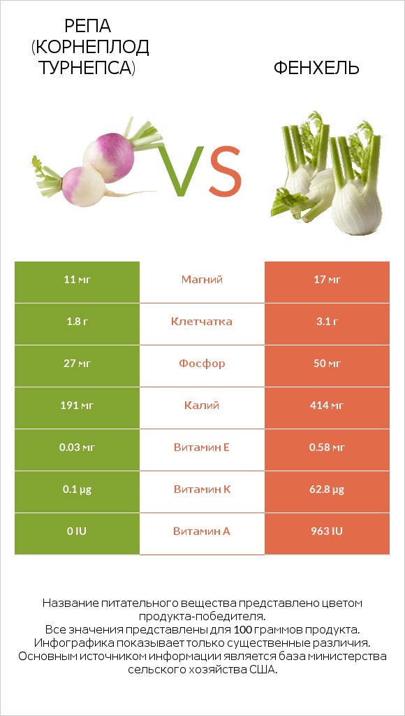 Турнепс (репа) vs Фенхель infographic