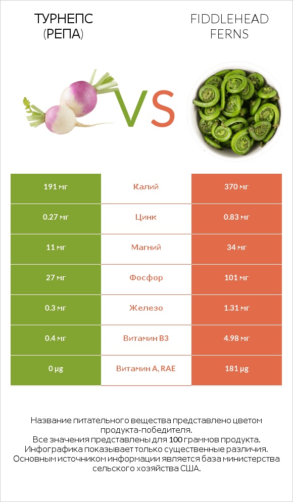 Турнепс (репа) vs Fiddlehead ferns infographic