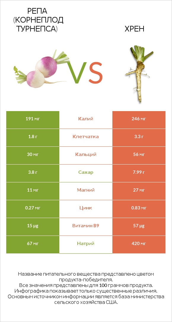 Репа (корнеплод турнепса) vs Хрен infographic