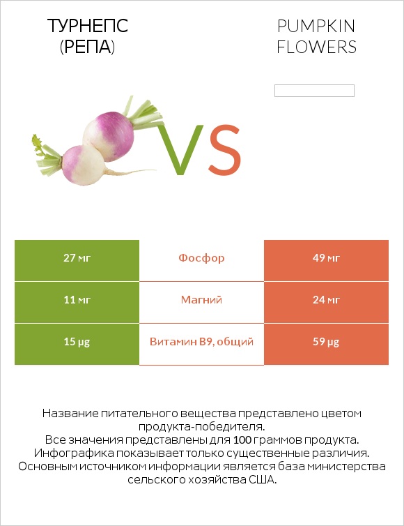 Турнепс (репа) vs Pumpkin flowers infographic