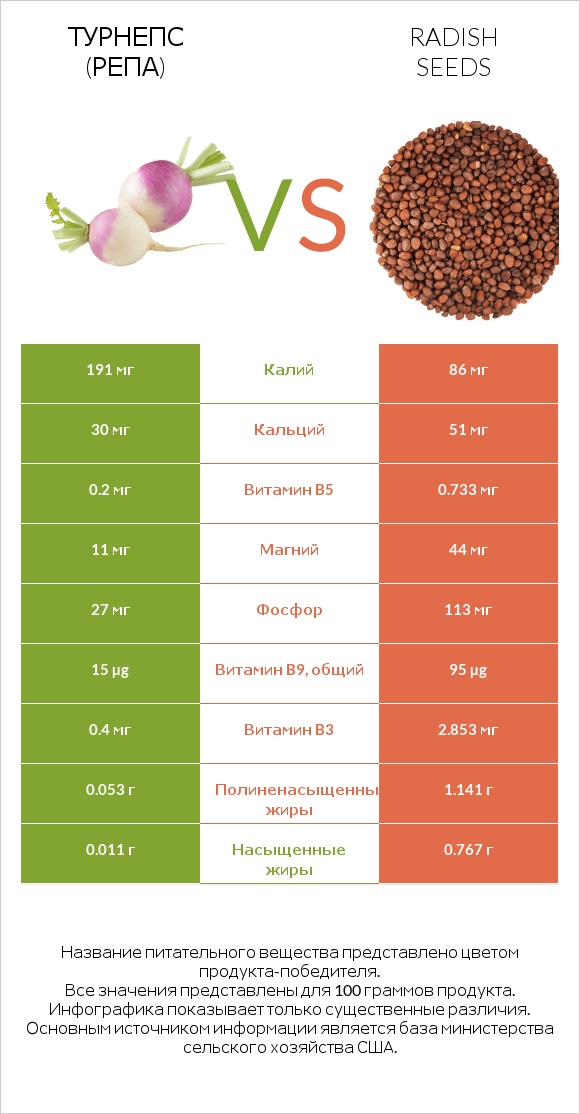 Турнепс (репа) vs Radish seeds infographic