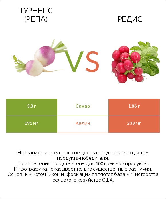 Турнепс (репа) vs Редис infographic