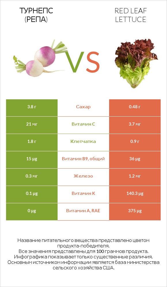 Турнепс (репа) vs Red leaf lettuce infographic