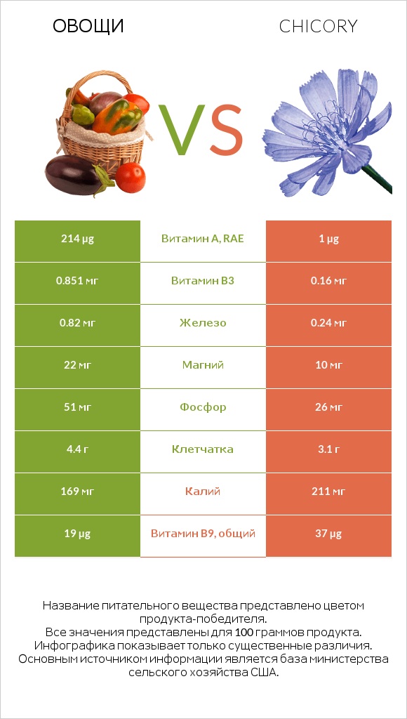 Овощи vs Chicory infographic