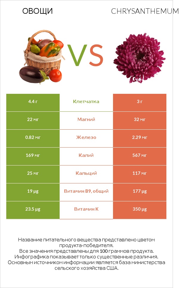 Овощи vs Chrysanthemum infographic