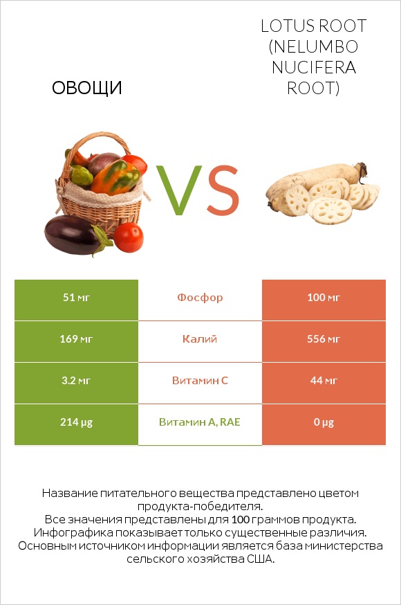 Овощи vs Lotus root infographic
