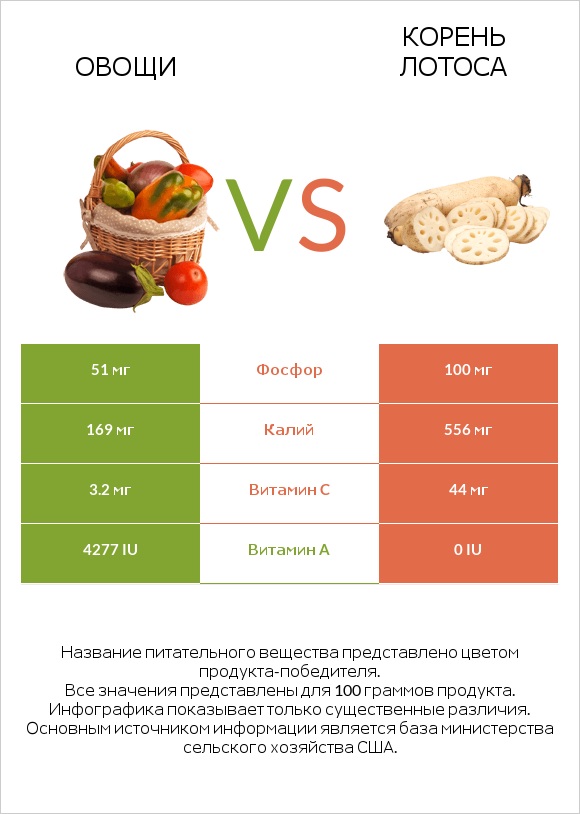 Овощи vs Lotus root infographic