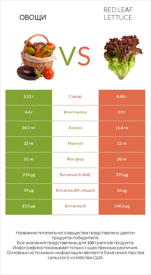Овощи vs Red leaf lettuce infographic