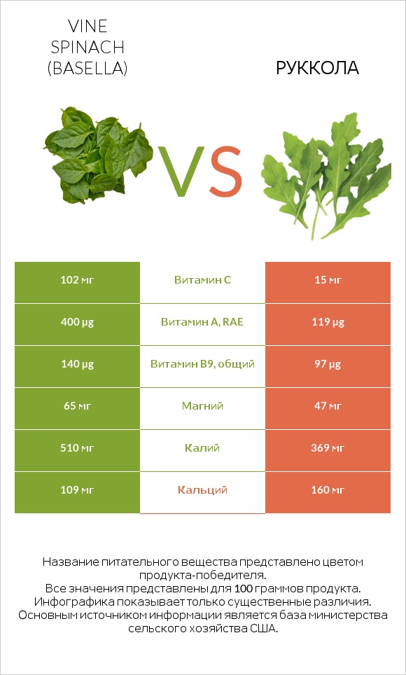 Базелла белая vs Руккола infographic