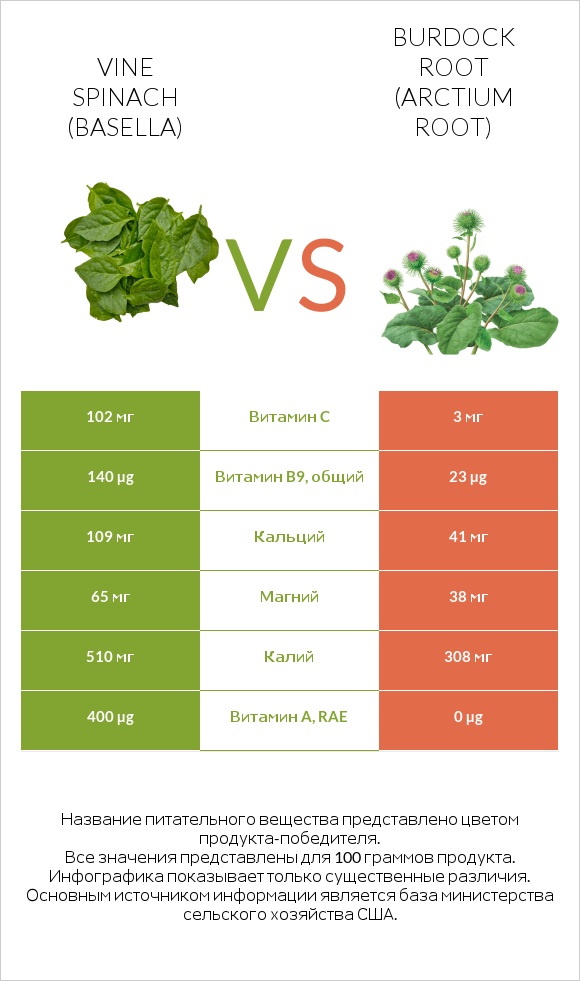 Vine spinach (basella) vs Burdock root infographic