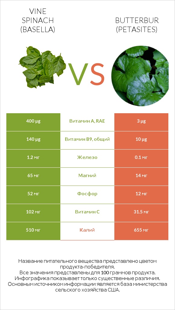 Vine spinach (basella) vs Butterbur infographic