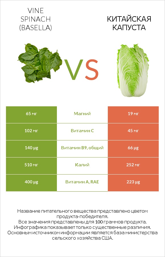 Vine spinach (basella) vs Китайская капуста infographic