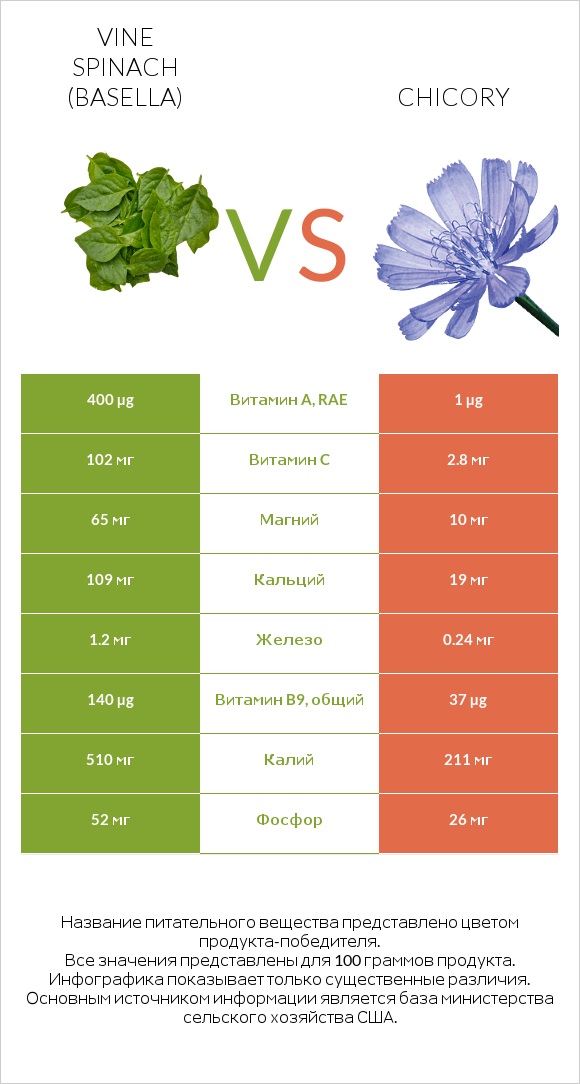 Vine spinach (basella) vs Chicory infographic
