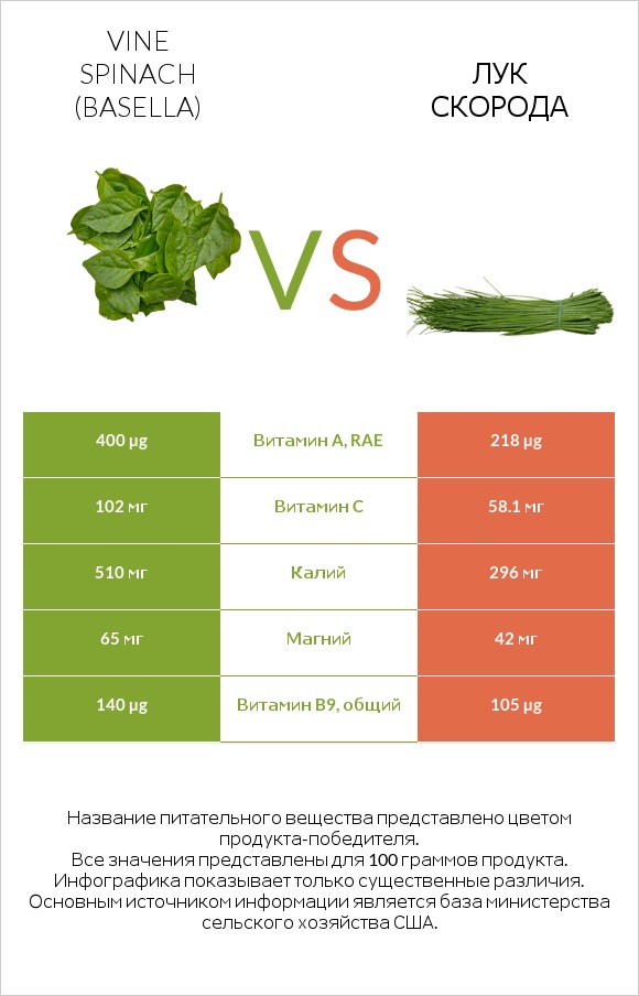 Vine spinach (basella) vs Лук скорода infographic