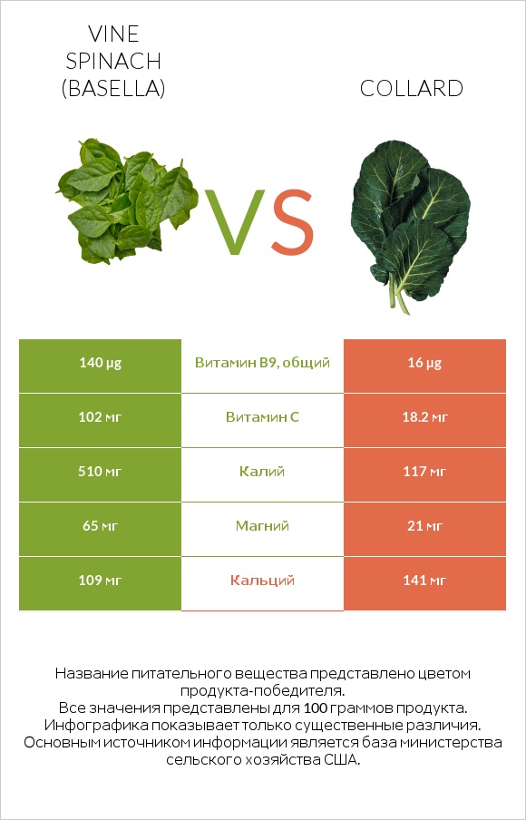 Vine spinach (basella) vs Collard infographic