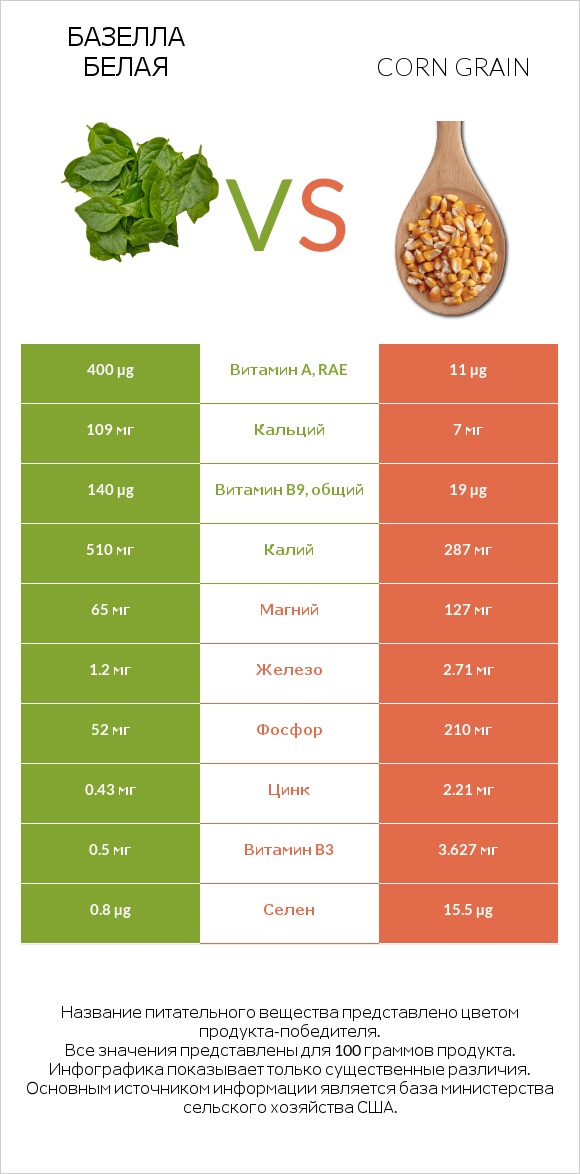 Базелла белая vs Corn grain infographic