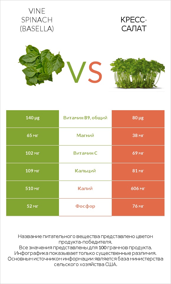 Базелла белая vs Кресс-салат infographic