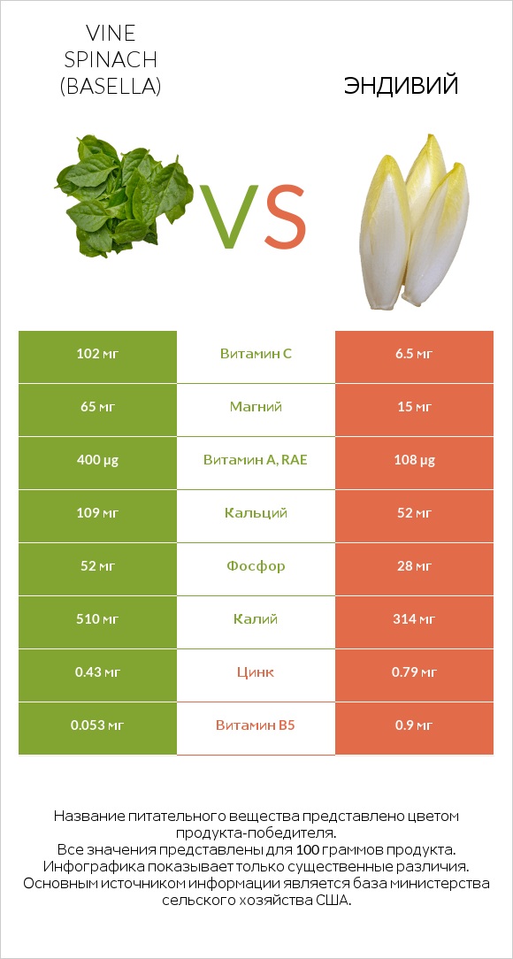 Vine spinach (basella) vs Эндивий infographic